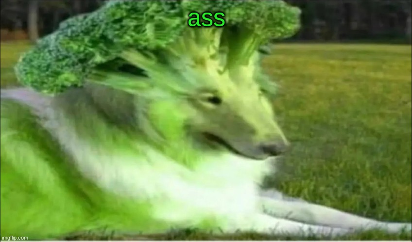 Broco dogo | ass | image tagged in broco dogo | made w/ Imgflip meme maker