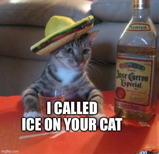 No papers? Okay then… | I CALLED ICE ON YOUR CAT | image tagged in mexican cat,cats,funny animals | made w/ Imgflip meme maker