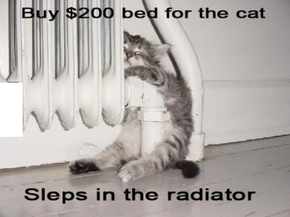$200 IS Insane | image tagged in cats,kittens,funny cats,sleeping,expensive,cat logic | made w/ Imgflip meme maker