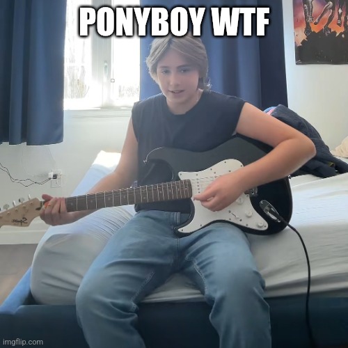 Ponyboy what are you doing here | PONYBOY WTF | image tagged in ponyboy what are you doing here | made w/ Imgflip meme maker