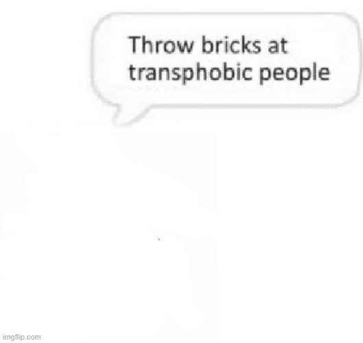Throw bricks at transphobic people Blank Meme Template