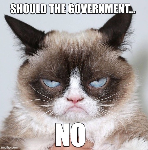 Big Government | image tagged in democrat party,liberals,liberal vs conservative,big government | made w/ Imgflip meme maker