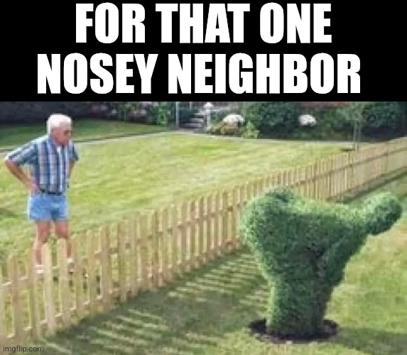 For That One Nosey Neighbor | FOR THAT ONE NOSEY NEIGHBOR | image tagged in chrisjoines1 | made w/ Imgflip meme maker