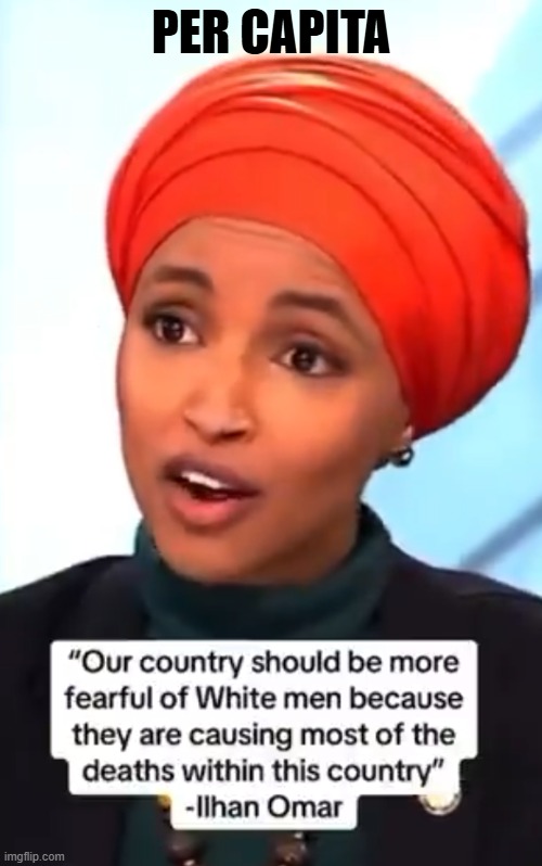 Its the math that is racist | PER CAPITA | image tagged in racism,racist,omar,congress,crime,liberal logic | made w/ Imgflip meme maker