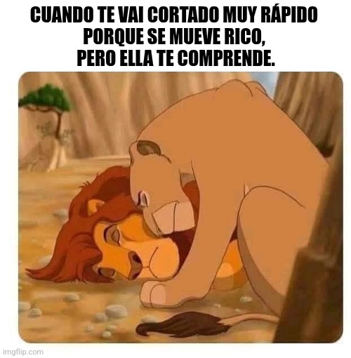 9svk62.jpg