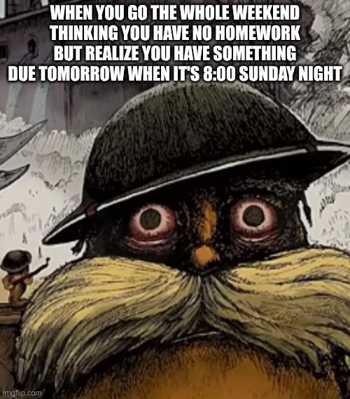 Thousand Yard Stare Lorax | WHEN YOU GO THE WHOLE WEEKEND THINKING YOU HAVE NO HOMEWORK BUT REALIZE YOU HAVE SOMETHING DUE TOMORROW WHEN IT'S 8:00 SUNDAY NIGHT | image tagged in homework | made w/ Imgflip meme maker