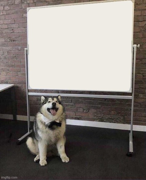 image tagged in professor doggo | made w/ Imgflip meme maker