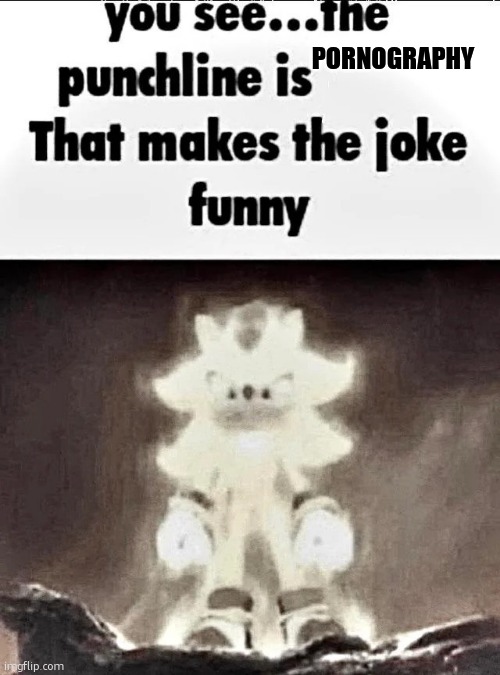 Shadow explains the joke | PORNOGRAPHY | image tagged in shadow explains the joke | made w/ Imgflip meme maker