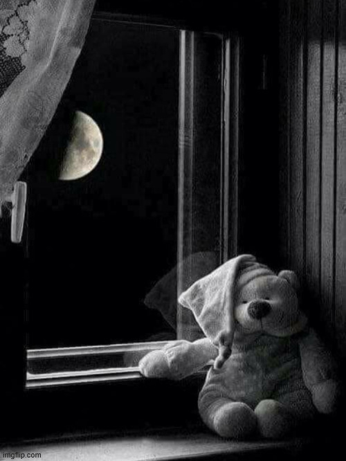 Teddy bear good night | image tagged in teddy bear good night | made w/ Imgflip meme maker