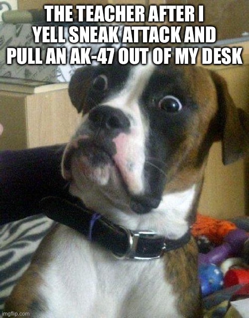 Nah no one’s getting out alive | THE TEACHER AFTER I YELL SNEAK ATTACK AND PULL AN AK-47 OUT OF MY DESK | image tagged in surprised dog,minecraft,funny,fun,meme,memes | made w/ Imgflip meme maker