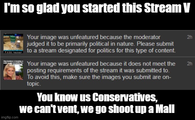 Making the Case for Re Posts | I'm so glad you started this Stream V; You know us Conservatives, we can't vent, we go shoot up a Mall | image tagged in dark humor rejection meme | made w/ Imgflip meme maker