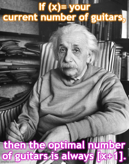 If (x)= your current number of guitars, then the optimal number of guitars is always [x+1]. | image tagged in funny | made w/ Imgflip meme maker