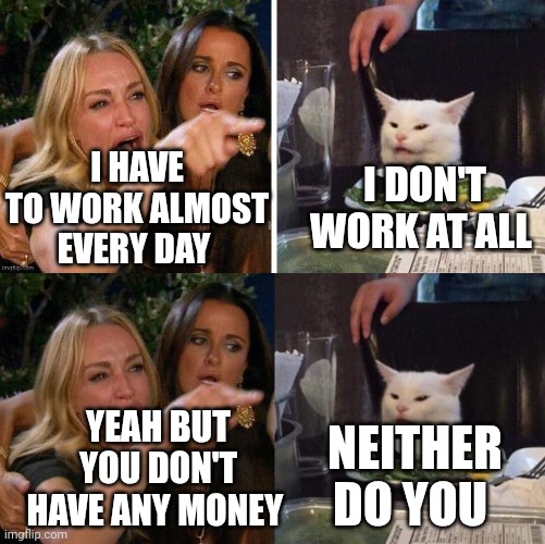 I HAVE TO WORK ALMOST EVERY DAY; I DON'T WORK AT ALL; YEAH BUT YOU DON'T HAVE ANY MONEY; NEITHER DO YOU | image tagged in smudge that darn cat with karen,memes,woman yelling at cat | made w/ Imgflip meme maker