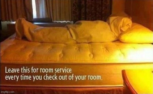 Bed Buddy | image tagged in hotel surprise meme | made w/ Imgflip meme maker