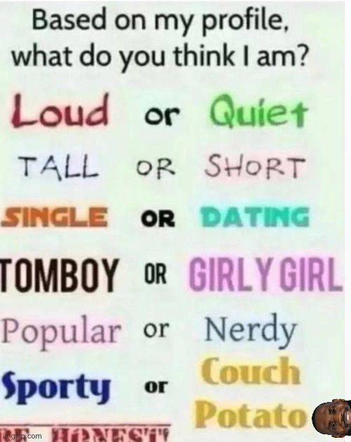 based on my profile what do you think I am? | image tagged in based on my profile what do you think i am | made w/ Imgflip meme maker