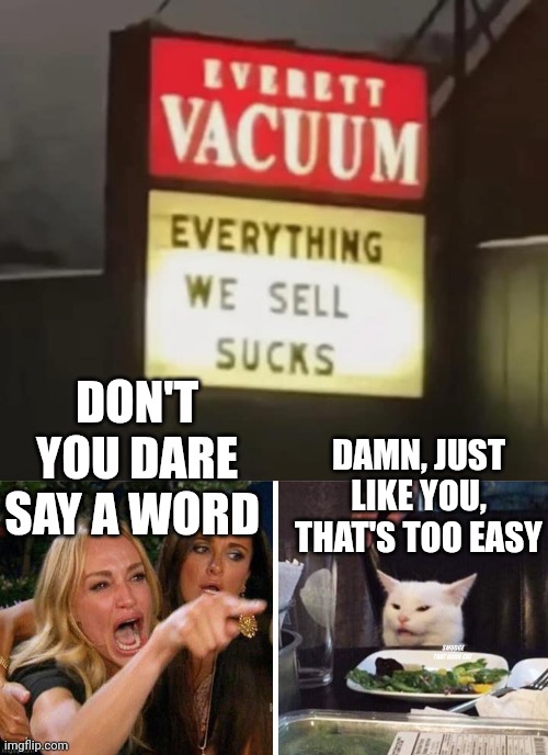 DAMN, JUST LIKE YOU, THAT'S TOO EASY; DON'T YOU DARE SAY A WORD | image tagged in smudge that darn cat with karen | made w/ Imgflip meme maker