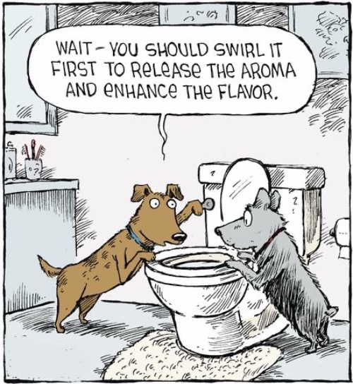 Dog Comics | image tagged in dogs,funny dog memes,comics,toilet water,poop eaters,pee water drinkers | made w/ Imgflip meme maker