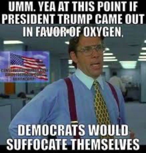 They'd Be Dumb Enough To Do That | image tagged in liberal logic,libtards,communist socialist,useful idiots,duhhh dumbass,lunatic | made w/ Imgflip meme maker