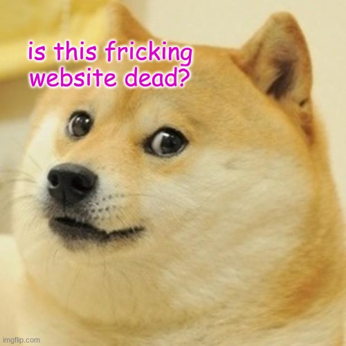 Is this place a ghost town? | is this fricking website dead? | image tagged in memes,doge | made w/ Imgflip meme maker