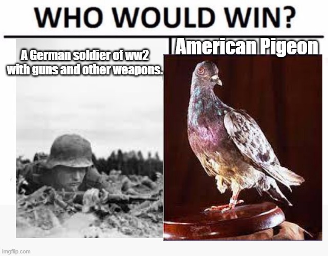 Cher Ami | American Pigeon; A German soldier of ww2 with guns and other weapons. | image tagged in who would win,world war 2,war,army,pigeon | made w/ Imgflip meme maker