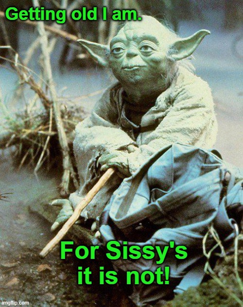 Master Yoda | Getting old I am. For Sissy's it is not! | image tagged in funny memes | made w/ Imgflip meme maker