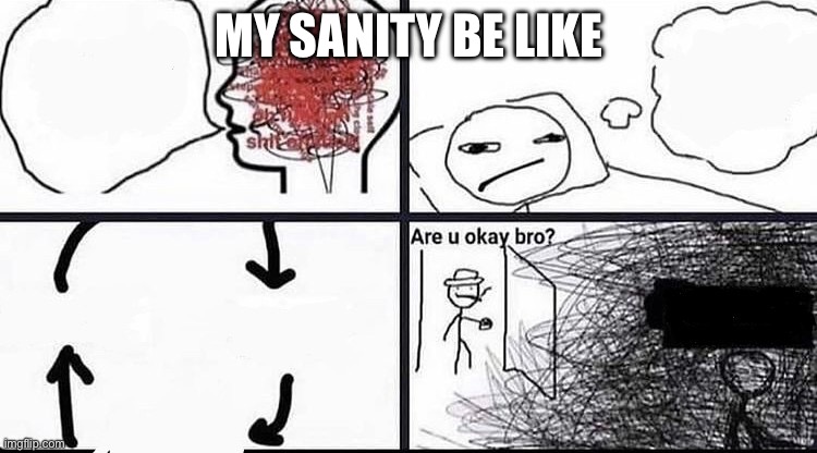 are you okay bro | MY SANITY BE LIKE | image tagged in are you okay bro | made w/ Imgflip meme maker