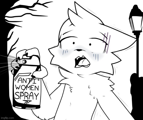 msmg: | image tagged in boykisser anti-women spray | made w/ Imgflip meme maker