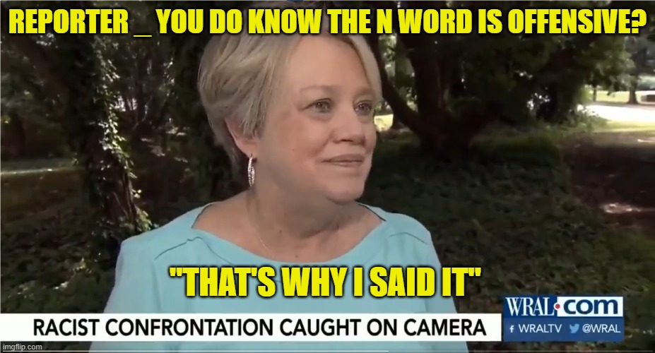 When they say "N word" We all say it in our head | REPORTER _ YOU DO KNOW THE N WORD IS OFFENSIVE? "THAT'S WHY I SAID IT" | image tagged in n word,racist,racism,black people,freedom of speech,truth | made w/ Imgflip meme maker