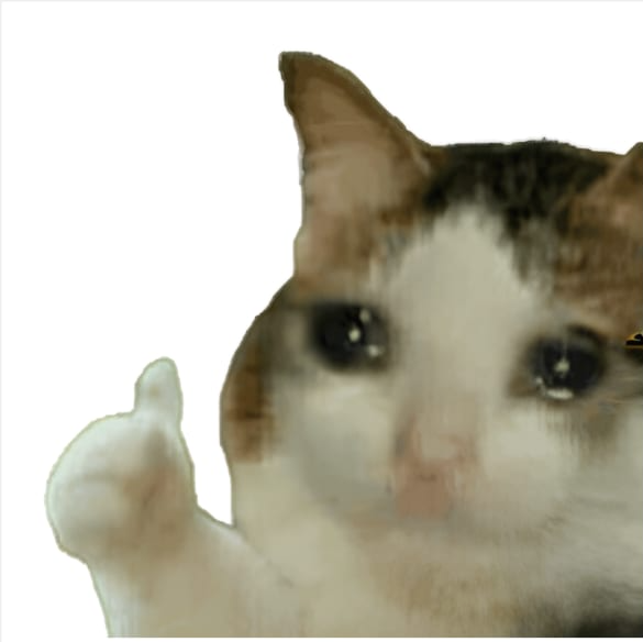 Cat thumbs up Blank Meme Template