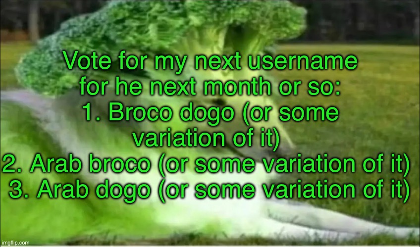 Broco dogo | Vote for my next username for he next month or so: 1. Broco dogo (or some variation of it) 
2. Arab broco (or some variation of it) 
3. Arab dogo (or some variation of it) | image tagged in broco dogo | made w/ Imgflip meme maker
