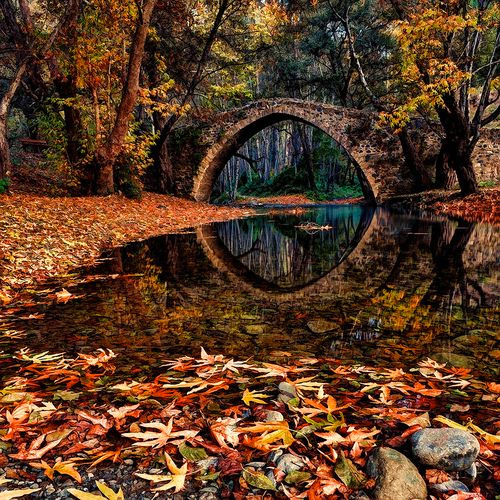 Gorgeous Autumn | image tagged in autumn leaves,fall,beautiful nature,scenery,seasons,reflection | made w/ Imgflip meme maker