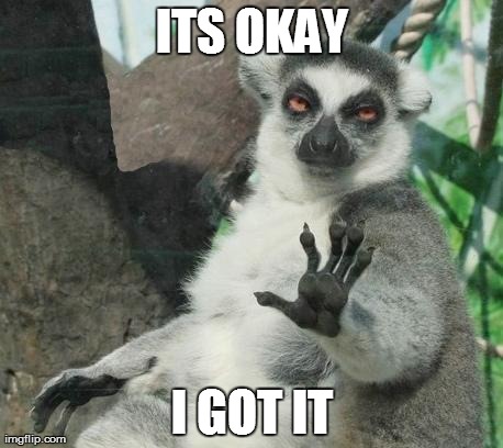 Stoner Lemur | ITS OKAY I GOT IT | image tagged in memes,stoner lemur | made w/ Imgflip meme maker