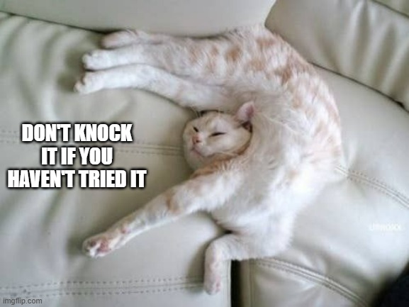 Cat says "Don't knock it if you haven't tried it."  - funny - | DON'T KNOCK IT IF YOU HAVEN'T TRIED IT | image tagged in cats,funny,kitten,sleep,humor,funny cat meme | made w/ Imgflip meme maker