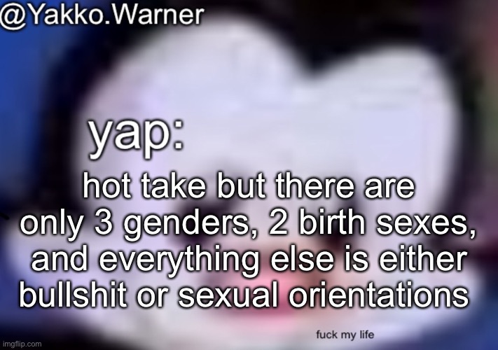 yappo i mean yakko.warner template | hot take but there are only 3 genders, 2 birth sexes, and everything else is either bullshit or sexual orientations | image tagged in yappo i mean yakko warner template | made w/ Imgflip meme maker