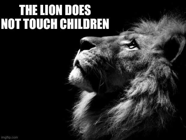 sad lion | THE LION DOES NOT TOUCH CHILDREN | image tagged in sad lion | made w/ Imgflip meme maker