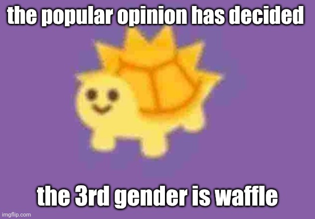 low quality turtle sun god | the popular opinion has decided; the 3rd gender is waffle | image tagged in low quality turtle sun god | made w/ Imgflip meme maker