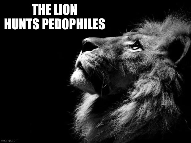 sad lion | THE LION HUNTS PEDOPHILES | image tagged in sad lion | made w/ Imgflip meme maker