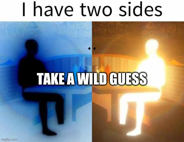 I have 2 sides | TAKE A WILD GUESS | image tagged in i have 2 sides | made w/ Imgflip meme maker