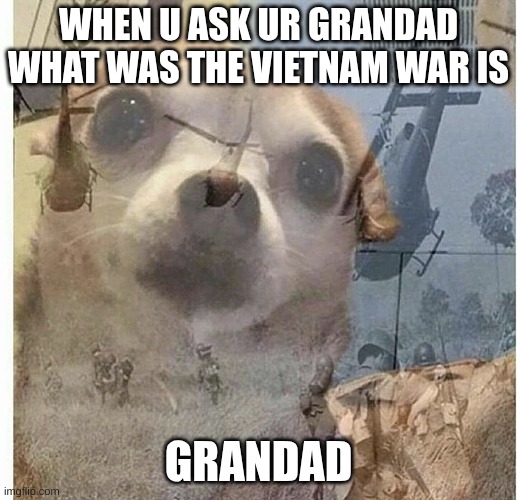 PTSD Chihuahua | WHEN U ASK UR GRANDAD WHAT WAS THE VIETNAM WAR IS; GRANDAD | image tagged in ptsd chihuahua | made w/ Imgflip meme maker