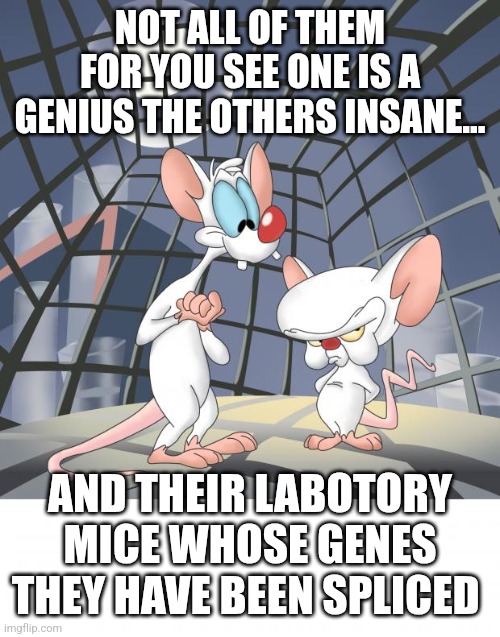 Pinky and the brain | NOT ALL OF THEM FOR YOU SEE ONE IS A GENIUS THE OTHERS INSANE... AND THEIR LABOTORY MICE WHOSE GENES THEY HAVE BEEN SPLICED | image tagged in pinky and the brain | made w/ Imgflip meme maker