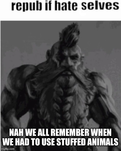 I currently have insomnia | NAH WE ALL REMEMBER WHEN WE HAD TO USE STUFFED ANIMALS | image tagged in repost if hate selves dwarf version | made w/ Imgflip meme maker