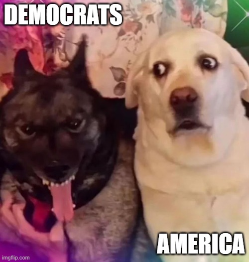 DEMOCRATS; AMERICA | made w/ Imgflip meme maker