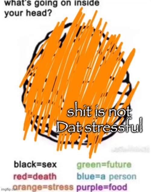 shit is not dat stressful | image tagged in shit is not dat stressful | made w/ Imgflip meme maker