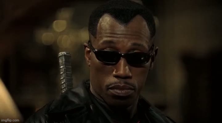 Blade.  Really?!? | image tagged in blade really | made w/ Imgflip meme maker