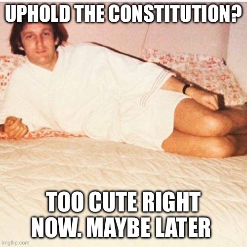 Trump bed | UPHOLD THE CONSTITUTION? TOO CUTE RIGHT NOW. MAYBE LATER | image tagged in trump bed | made w/ Imgflip meme maker