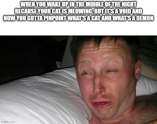 I may or may not be in a pretty bad situation | WHEN YOU WAKE UP IN THE MIDDLE OF THE NIGHT BECAUSE YOUR CAT IS MEOWING, BUT IT'S A VOID AND NOW YOU GOTTA PINPOINT WHAT'S A CAT AND WHAT'S A DEMON | image tagged in limmy waking up | made w/ Imgflip meme maker