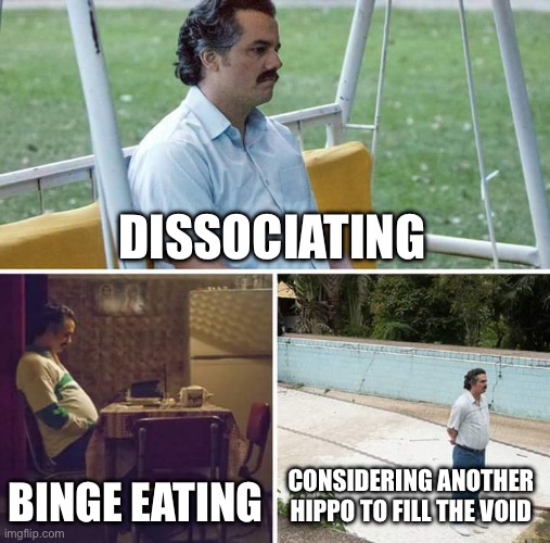 Sad Pablo Escobar | DISSOCIATING; BINGE EATING; CONSIDERING ANOTHER HIPPO TO FILL THE VOID | image tagged in memes,sad pablo escobar | made w/ Imgflip meme maker