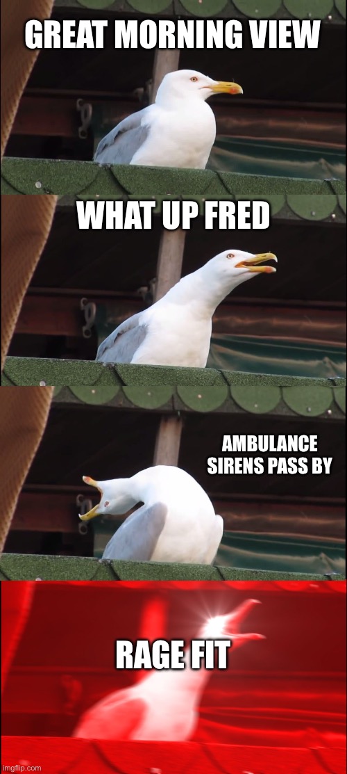 Inhaling Seagull Meme | GREAT MORNING VIEW; WHAT UP FRED; AMBULANCE SIRENS PASS BY; RAGE FIT | image tagged in memes,inhaling seagull | made w/ Imgflip meme maker