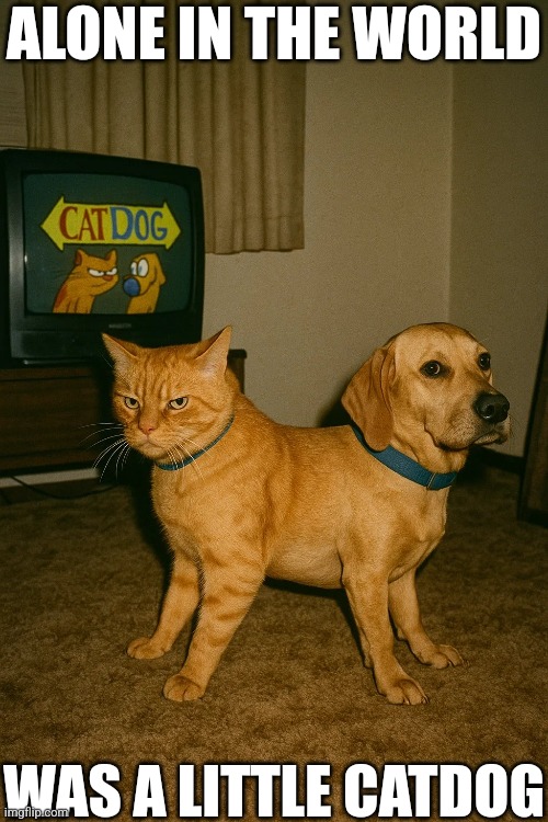 WHAT THE H...? LMFAO CLASSIC IYKYK! | ALONE IN THE WORLD; WAS A LITTLE CATDOG | image tagged in catdog,classic,cats,dogs,memes,nickelodeon | made w/ Imgflip meme maker