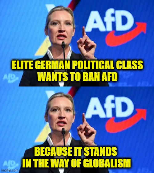 Globalist want to destroy German identity | ELITE GERMAN POLITICAL CLASS
WANTS TO BAN AFD; BECAUSE IT STANDS 
IN THE WAY OF GLOBALISM | image tagged in globalism | made w/ Imgflip meme maker